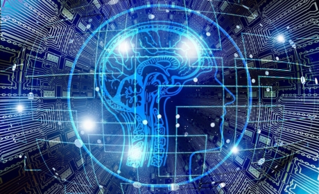 AI Rules and Guidelines