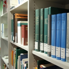 Defence of Final Thesis in January 2021